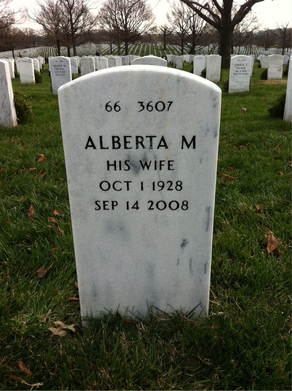 Back of headstone — Lewis Selby