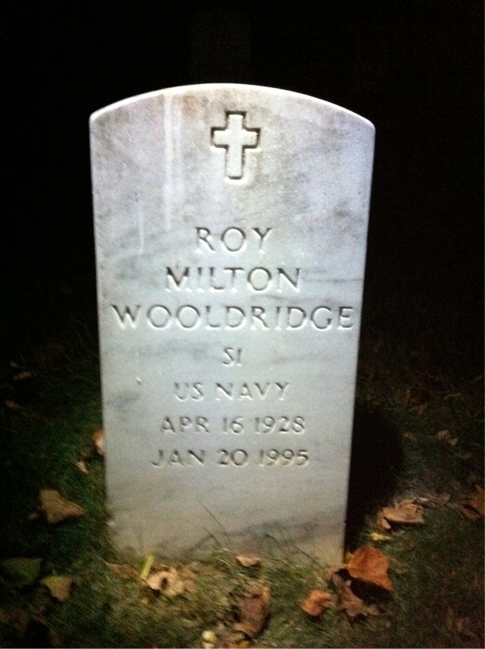 Roy M Wooldridge