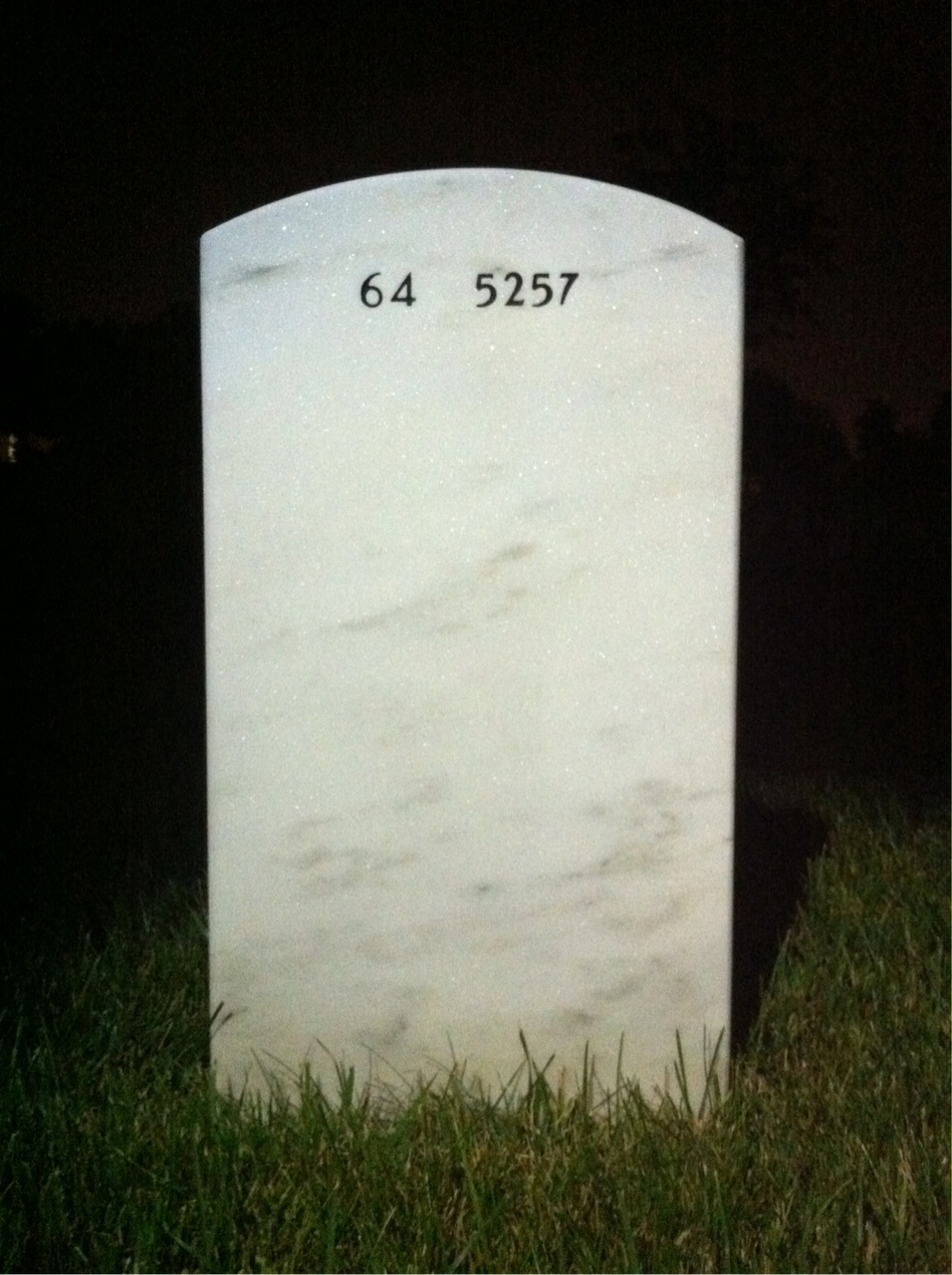 Back of headstone — Emzer Bizzell