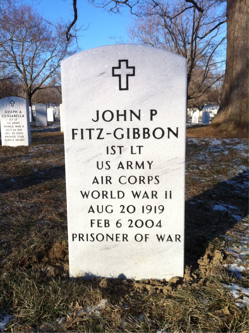John Fitz-Gibbon