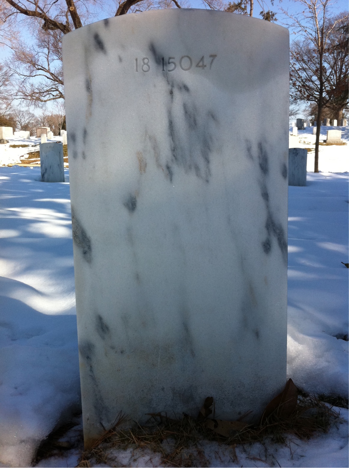 Back of headstone — Carl Berg