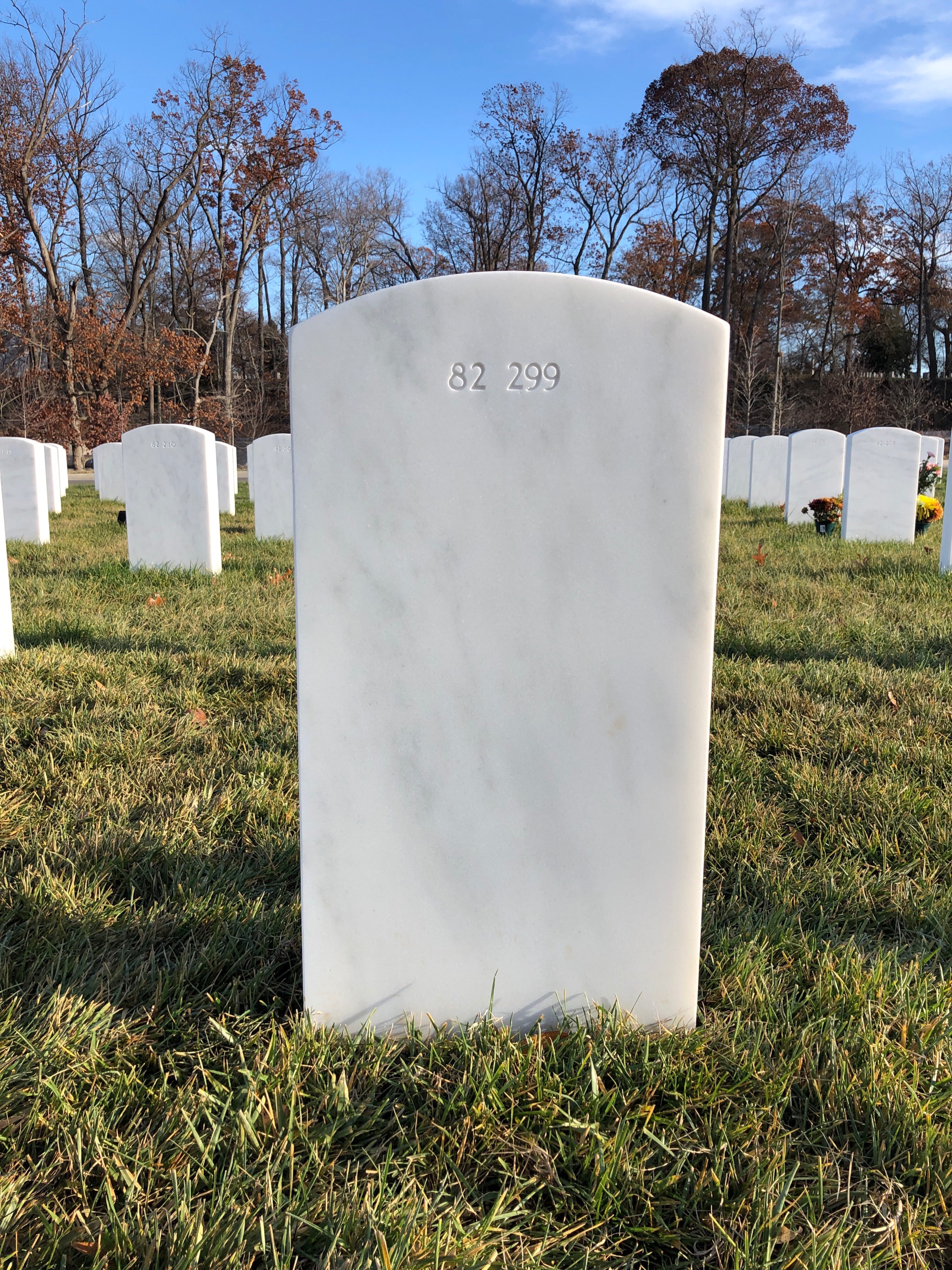 Back of headstone — William Franklin Lewis