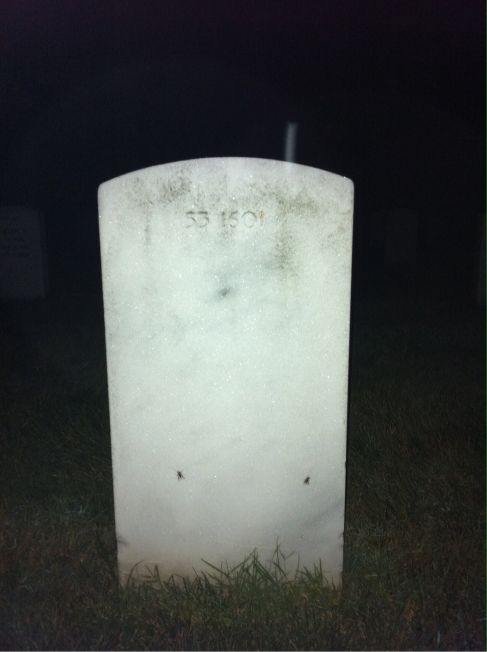 Back of headstone — Bernard Bailey