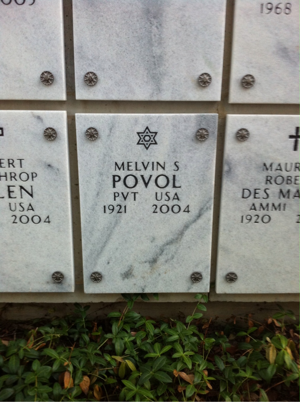 Melvin Povol
