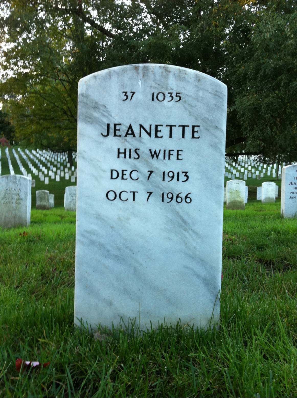 Back of headstone — David Frost