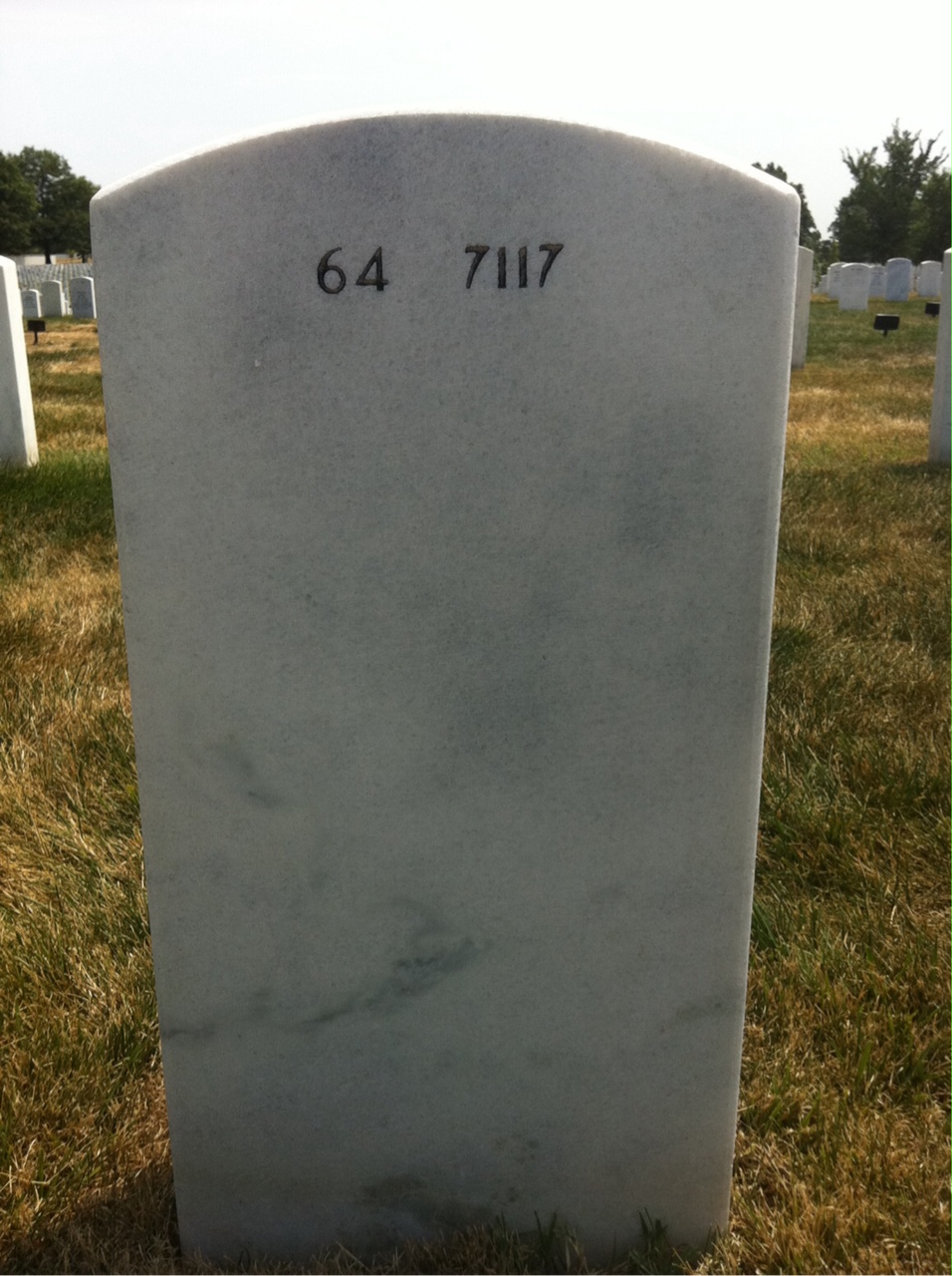 Back of headstone — August Caponecchi