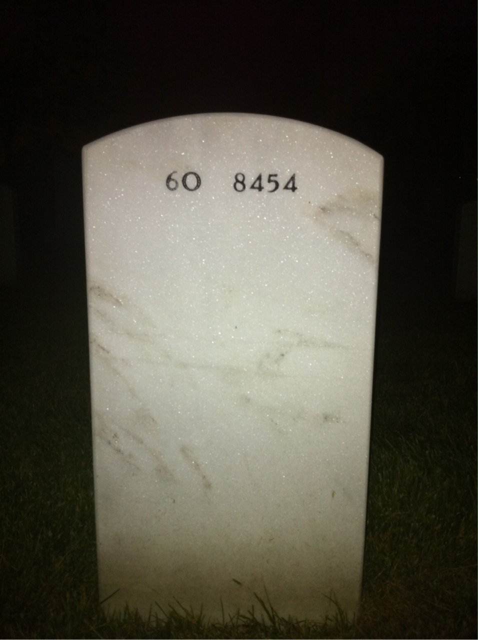 Back of headstone — Albert Nelson