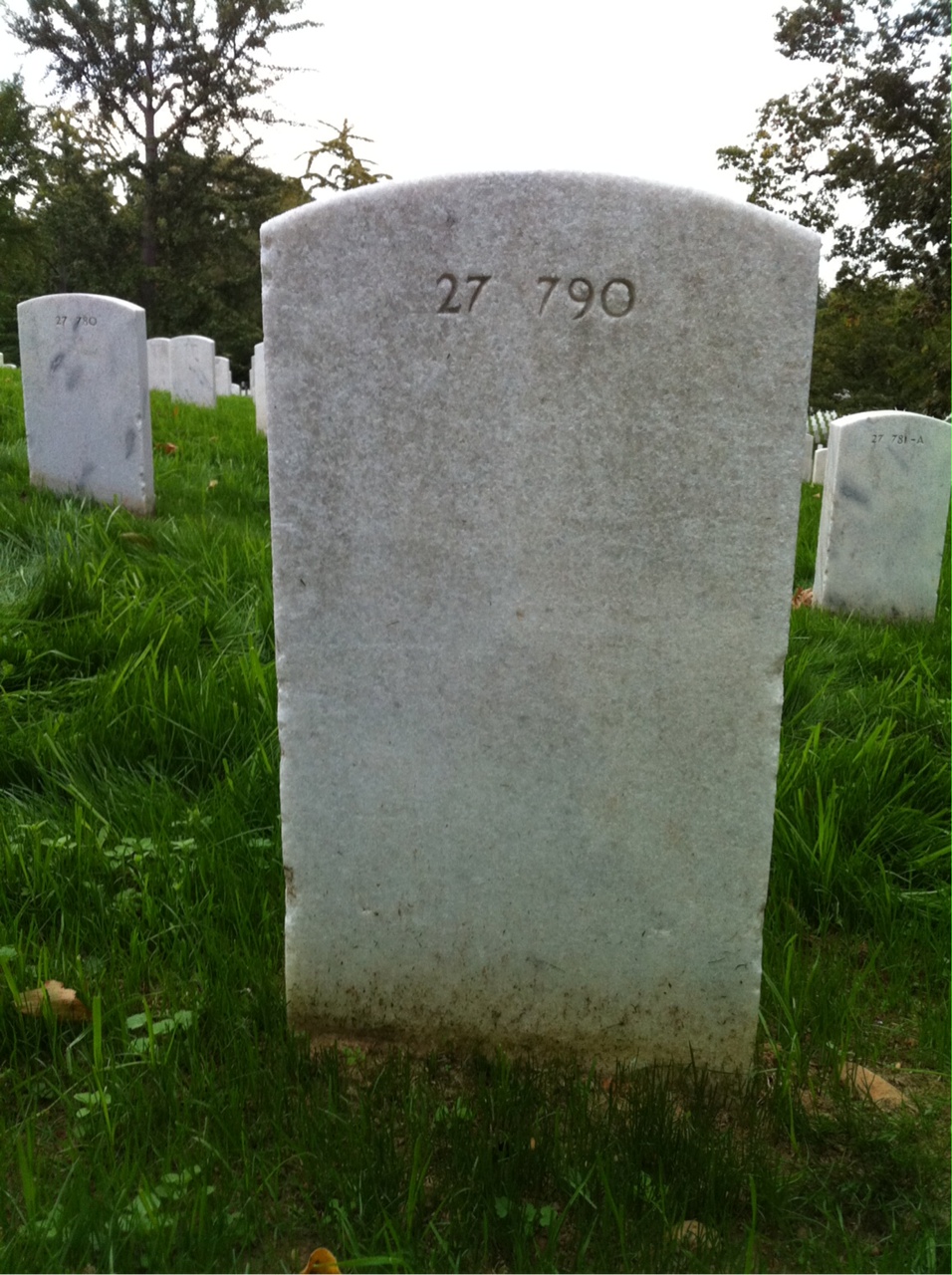 Back of headstone — Lafayette Murray
