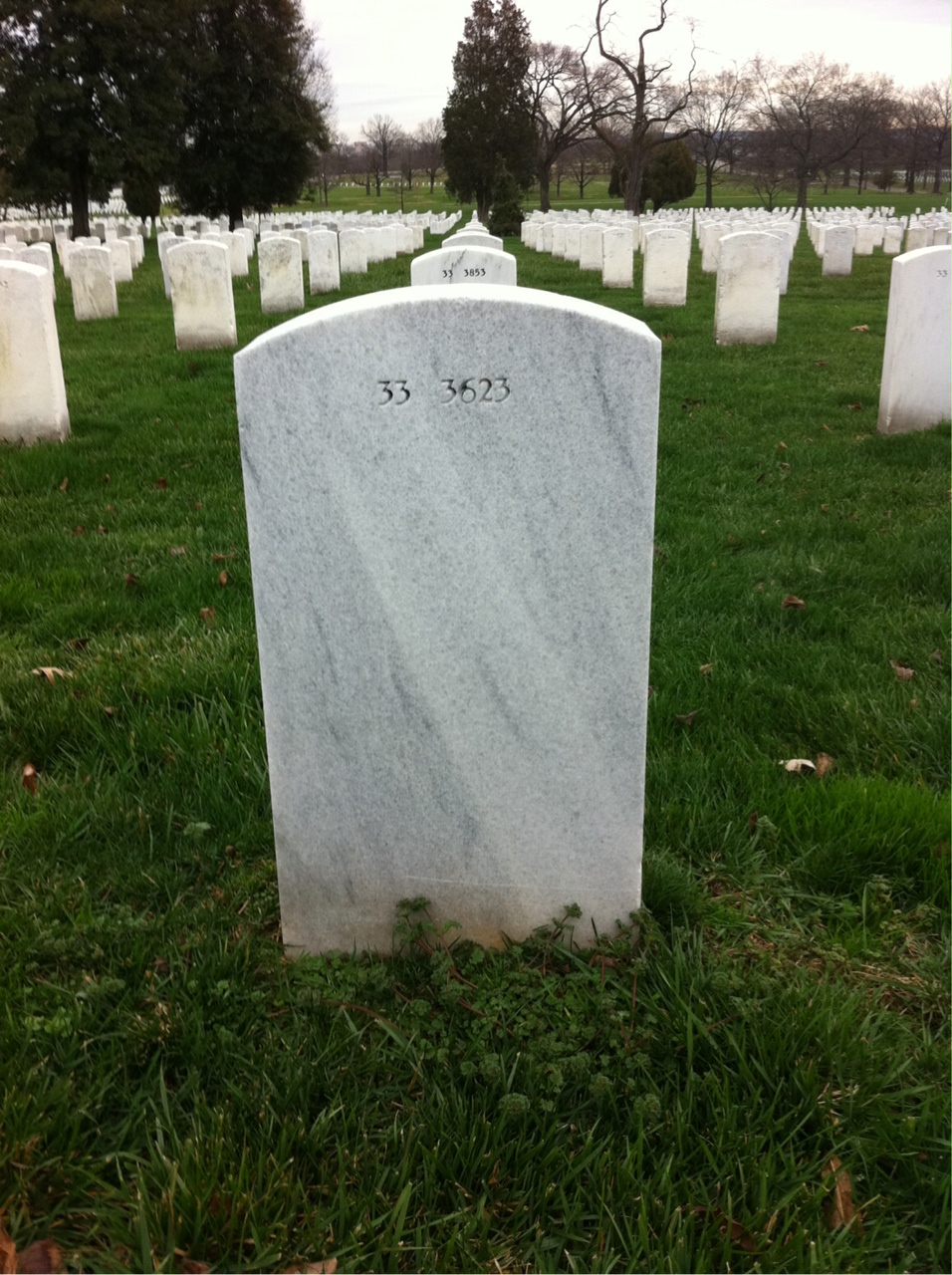Back of headstone — Mary Bracey