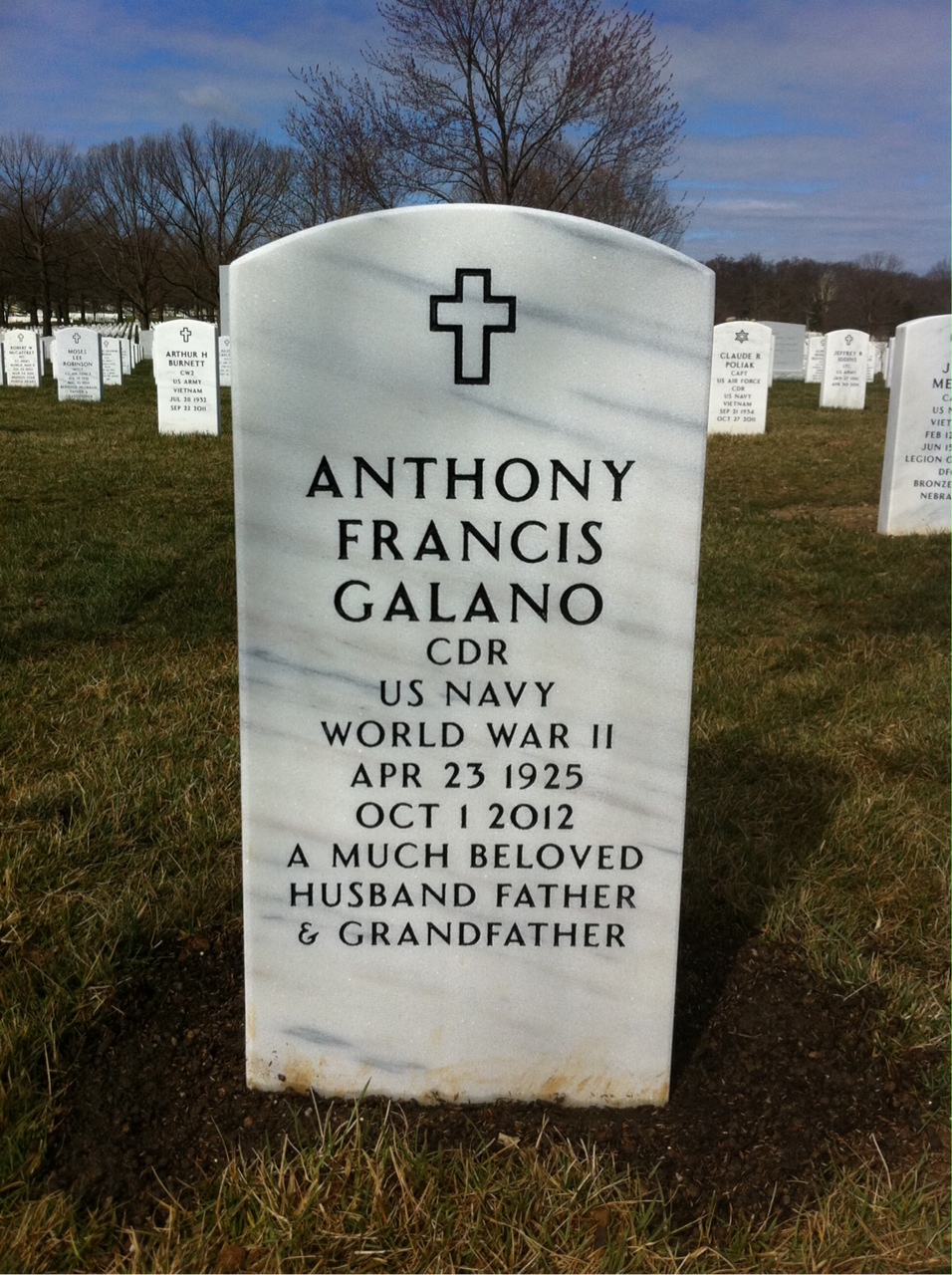 Anthony F Galano