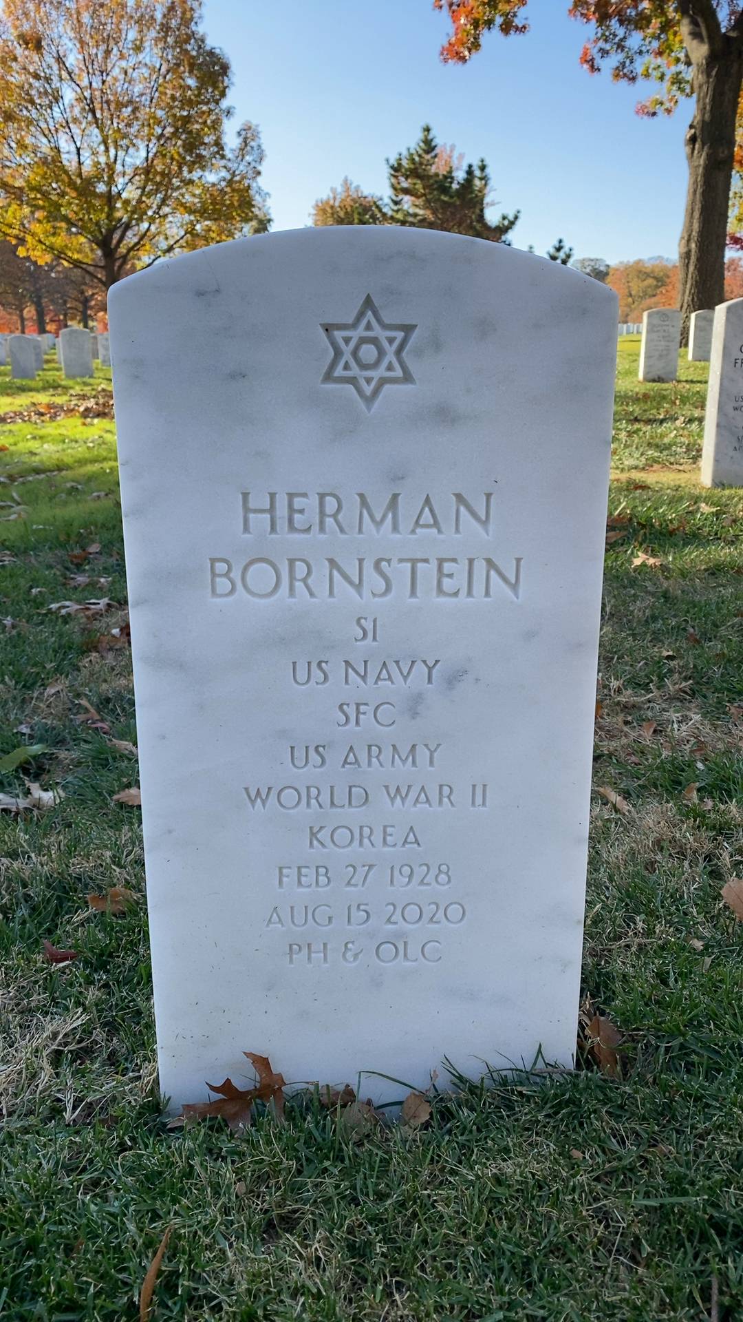 Herman Bornstein