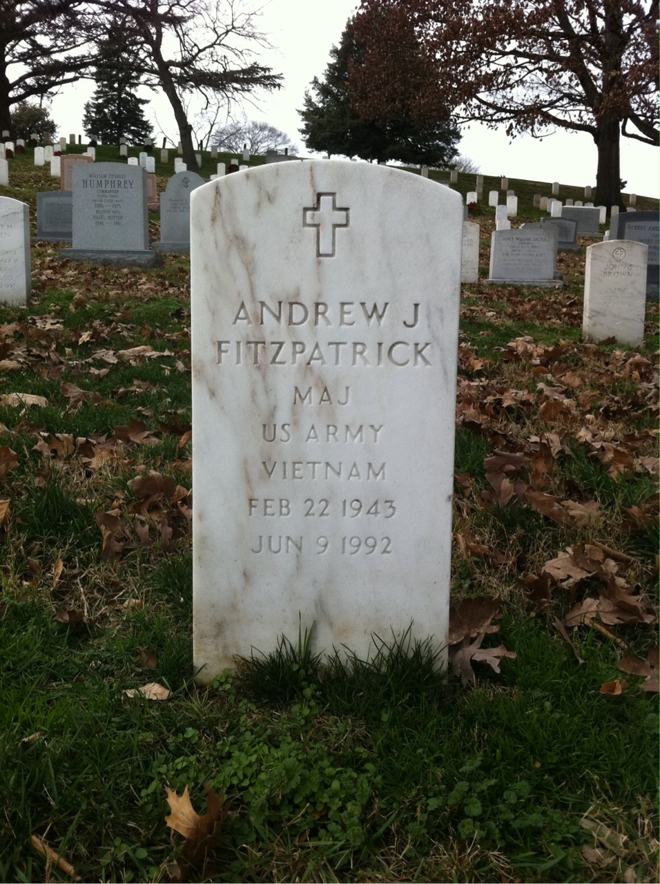 Andrew J Fitzpatrick
