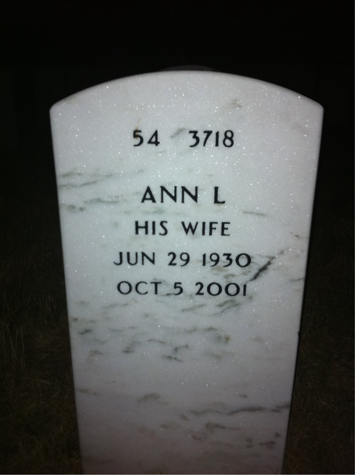 Back of headstone — Benjamin Van Wagener