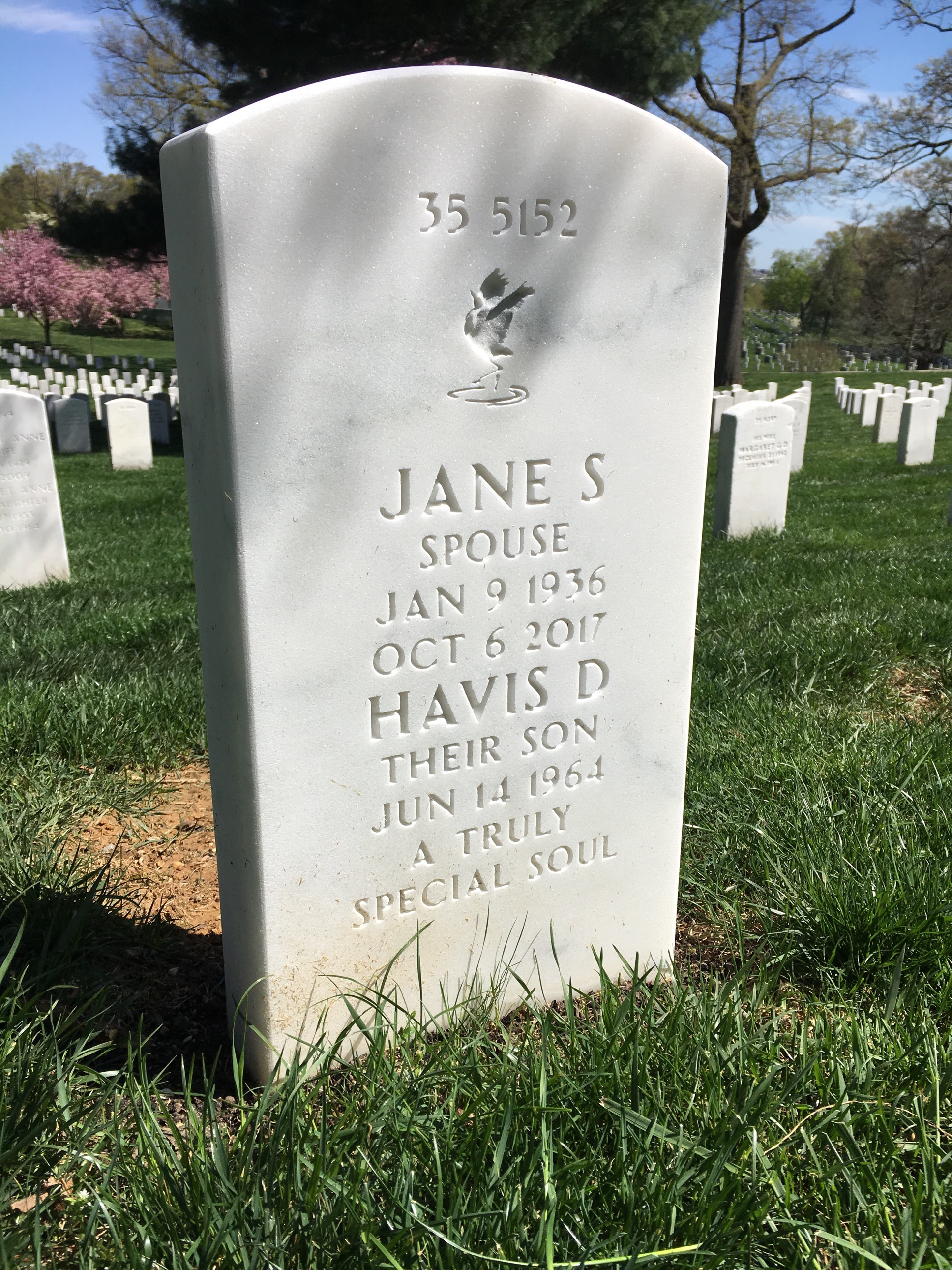 Back of headstone — Havis Akin