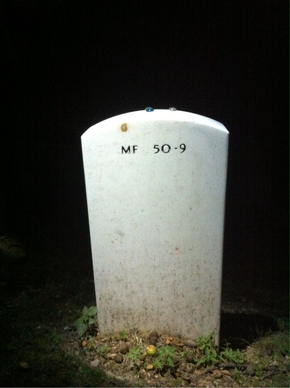 Back of headstone — Roger Buxman