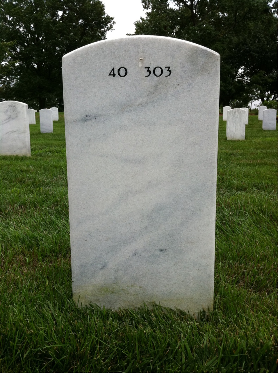 Back of headstone — Alphonse Wisniewski