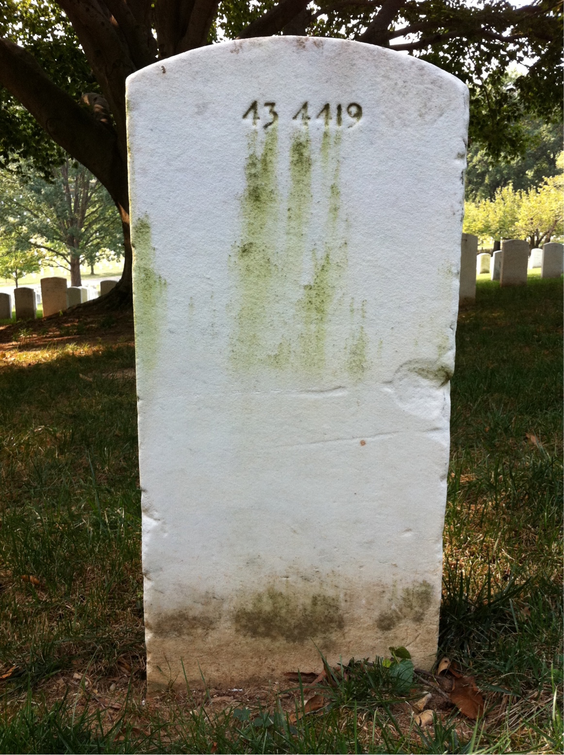 Back of headstone — Lacount Togans