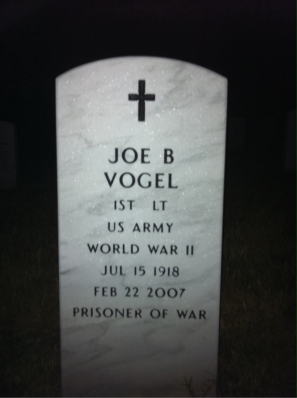 Joe Vogel