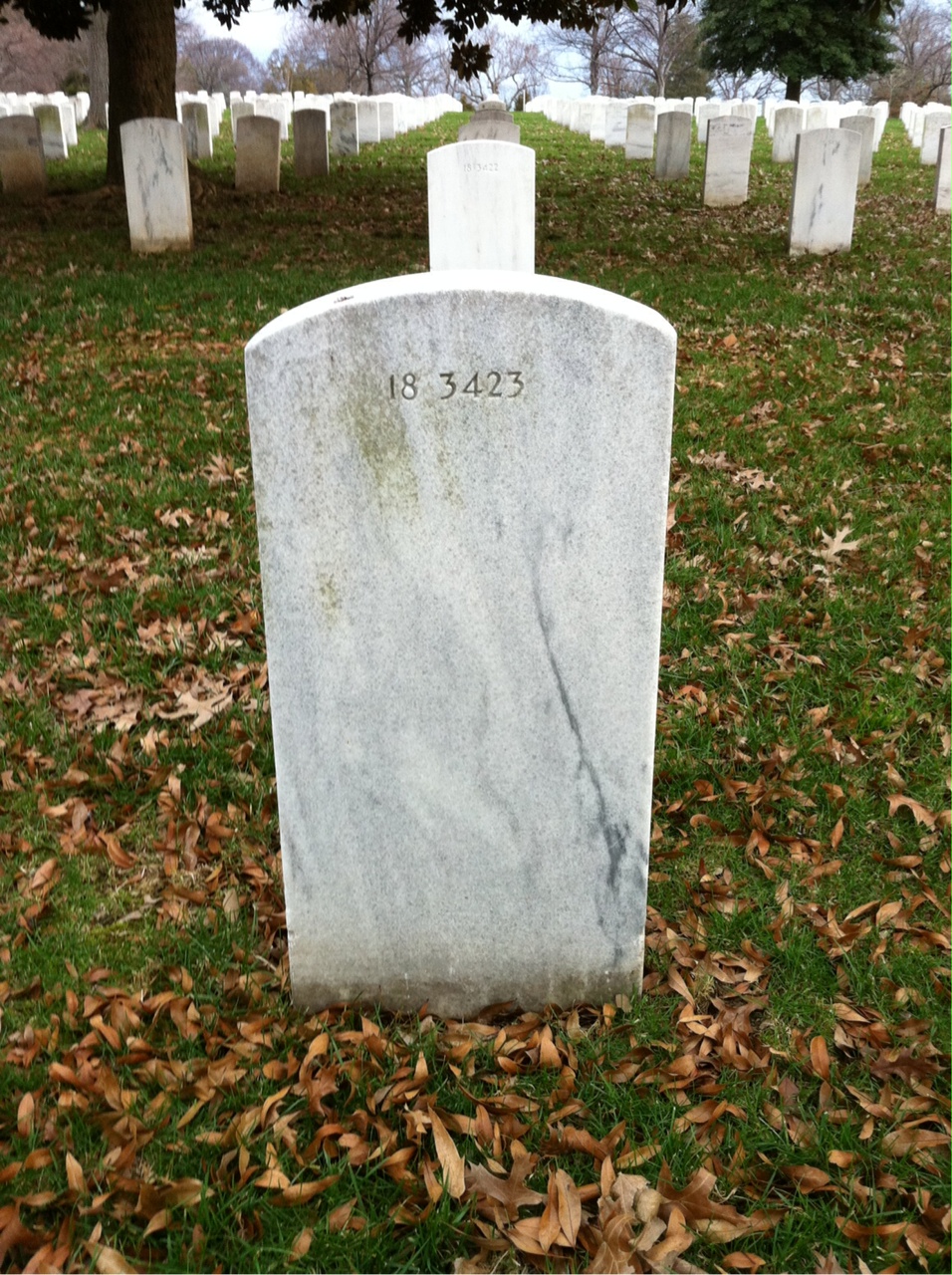 Back of headstone — Elihu Ball