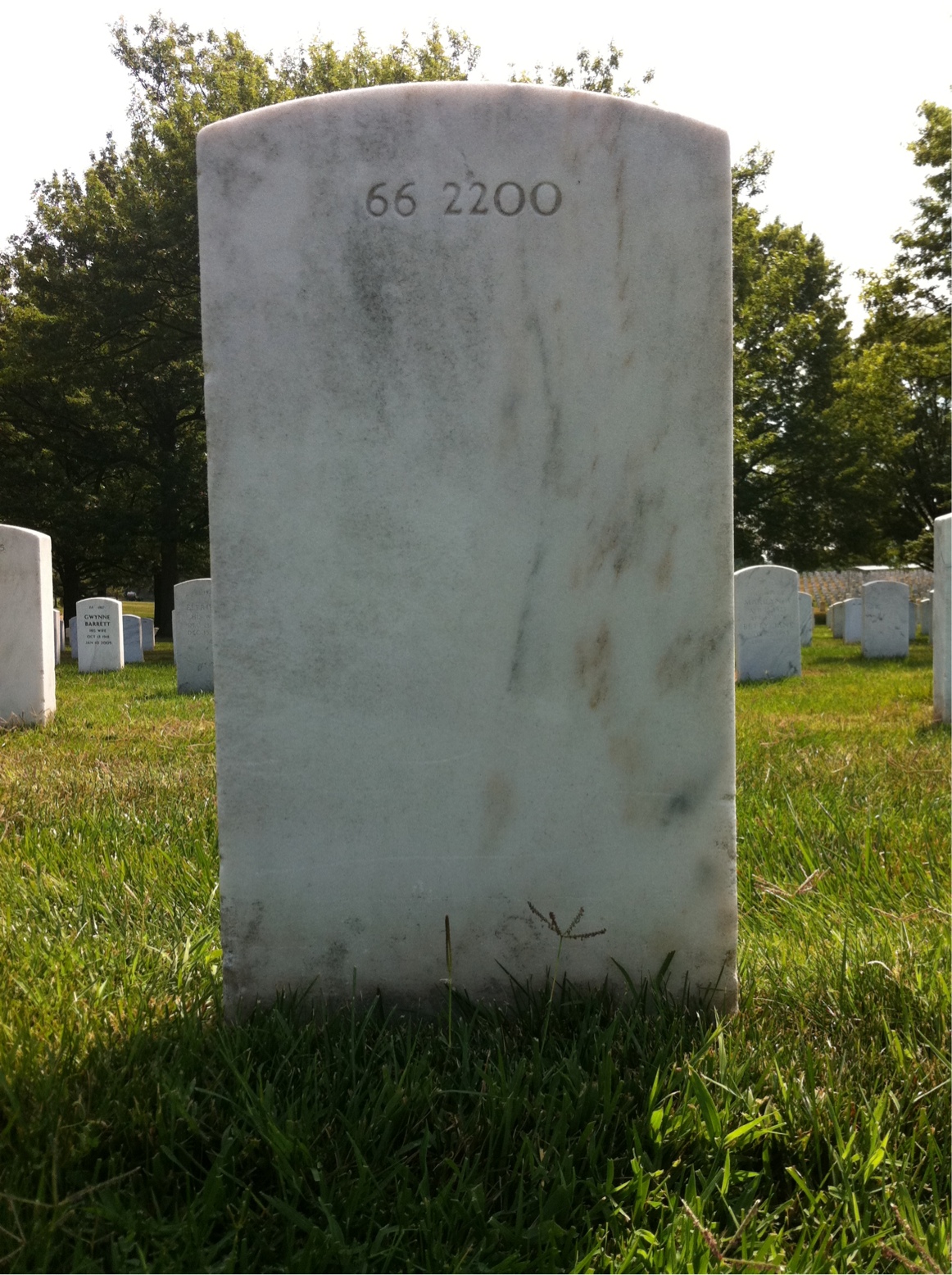 Back of headstone — Thomas W Todd