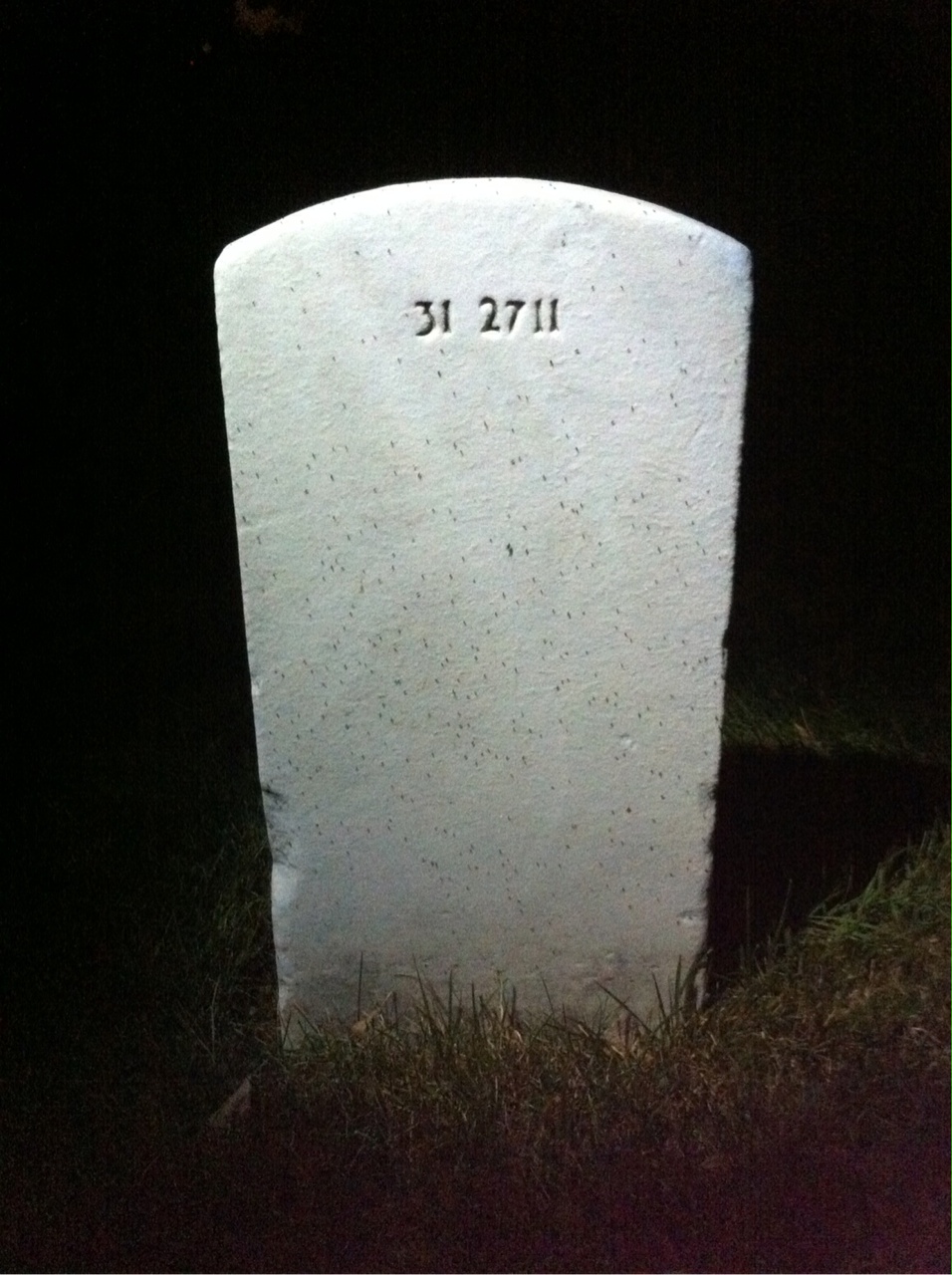Back of headstone — Jesse Murchison