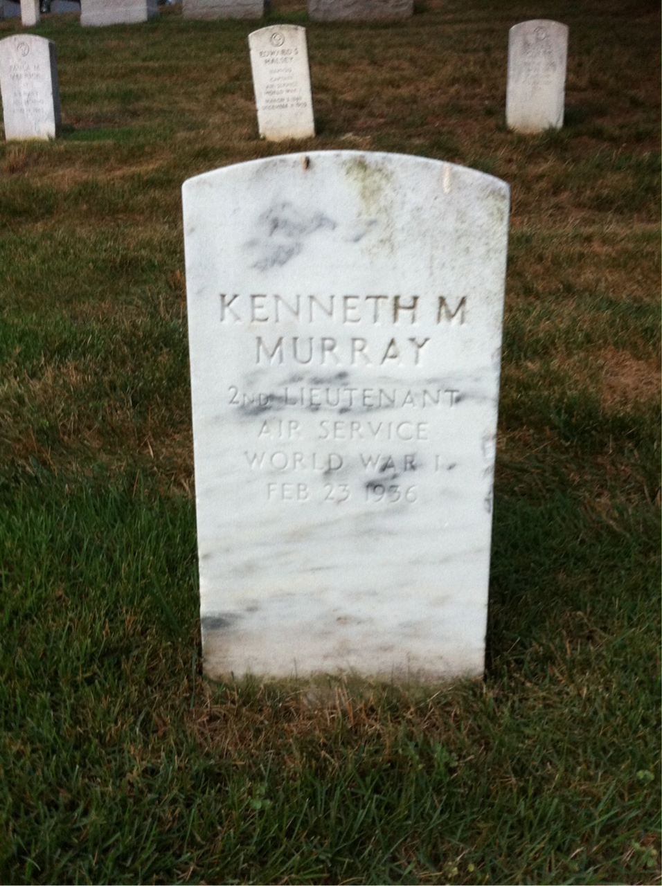 Phyllis Murray