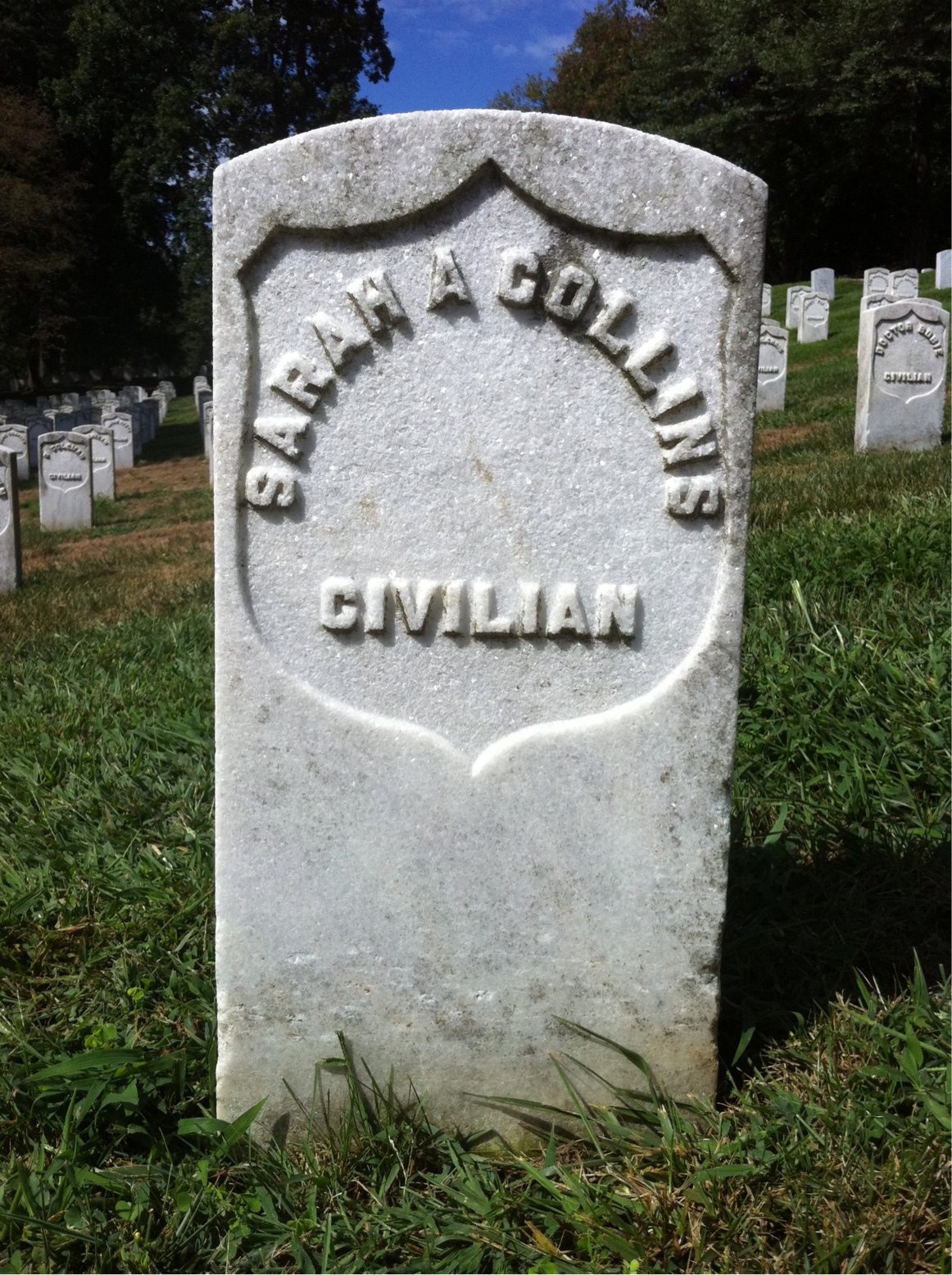 Sarah Collins