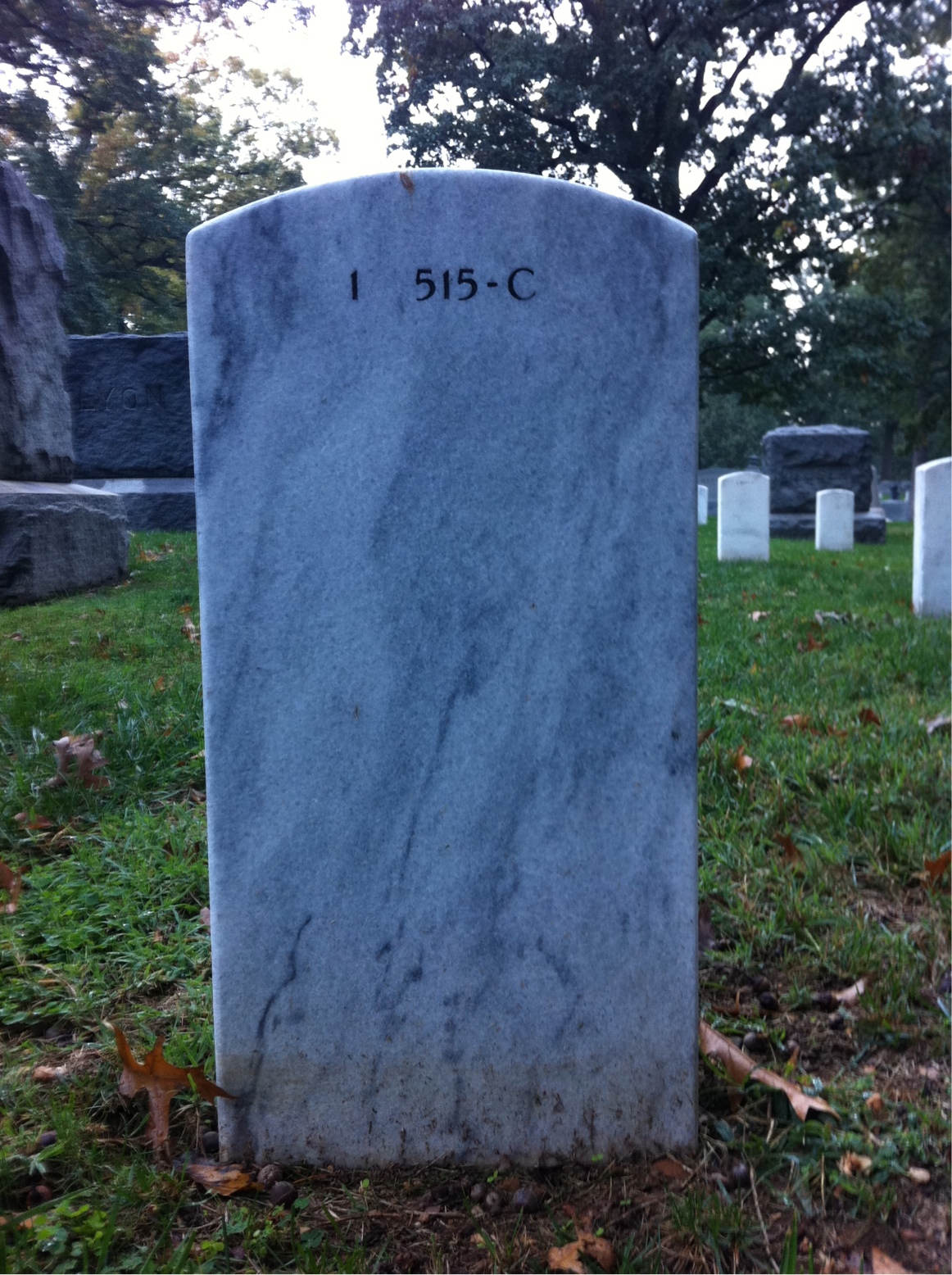 Back of headstone — Edith Olson