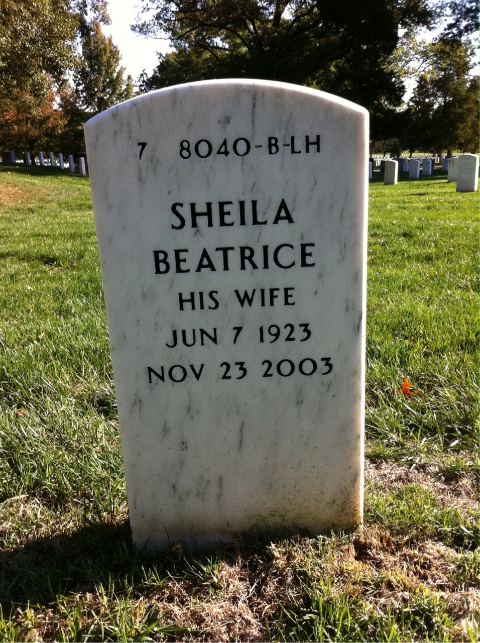 Back of headstone — John Nelson