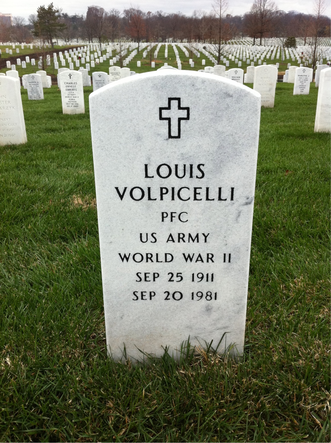 Louis Volpicelli