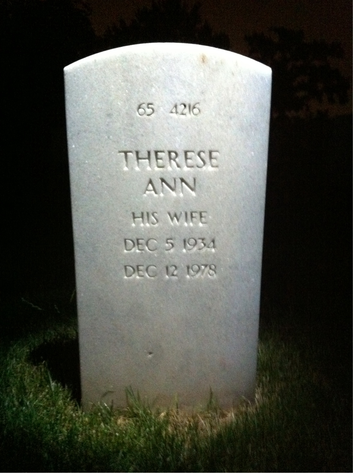 Back of headstone — Nyal Eugene Palmer