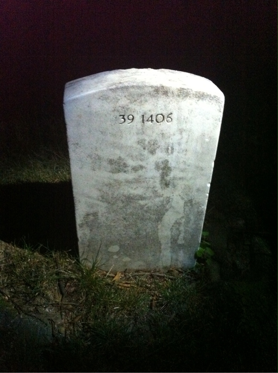 Back of headstone — Fred Arne