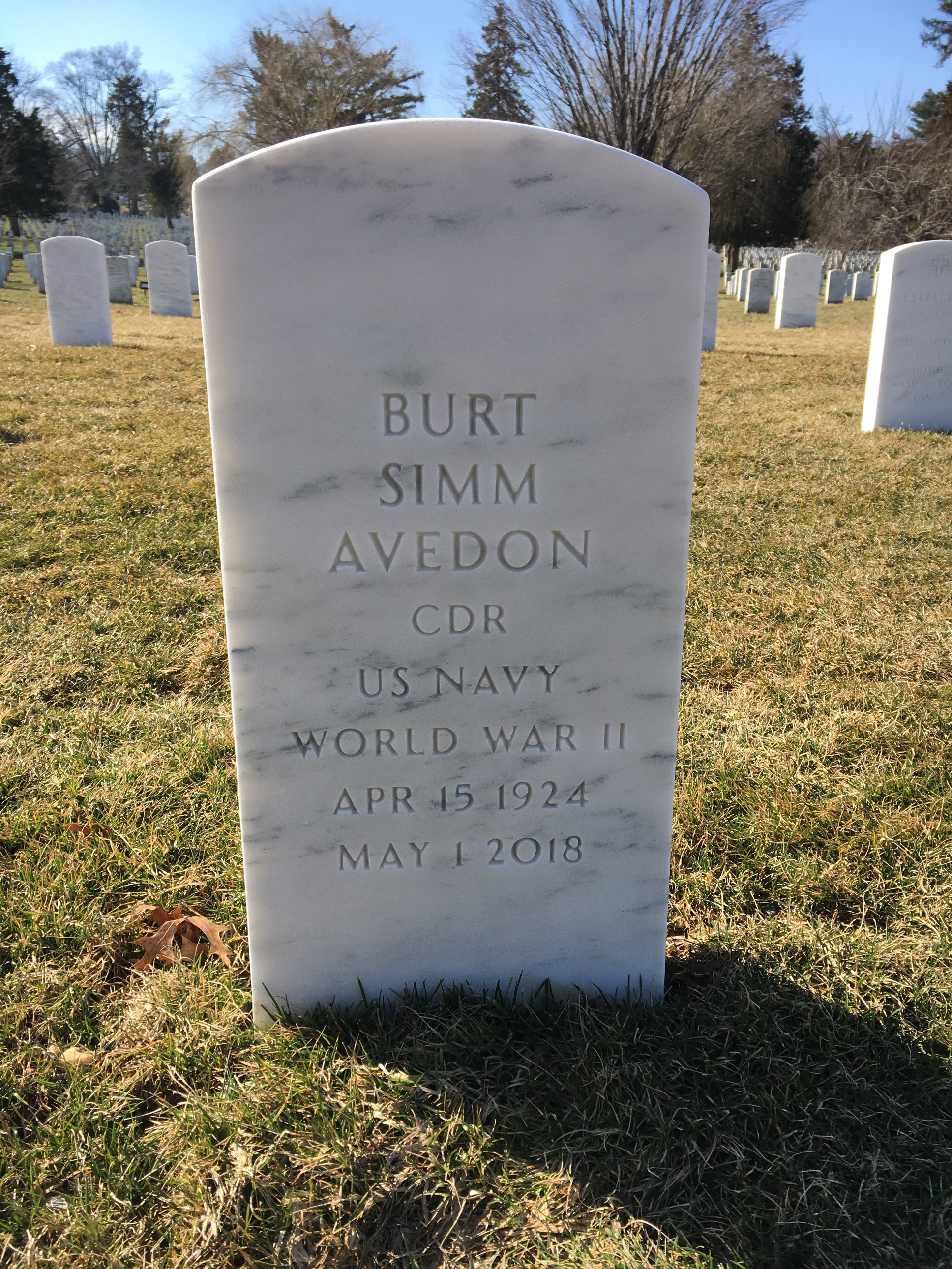 Burt Avedon