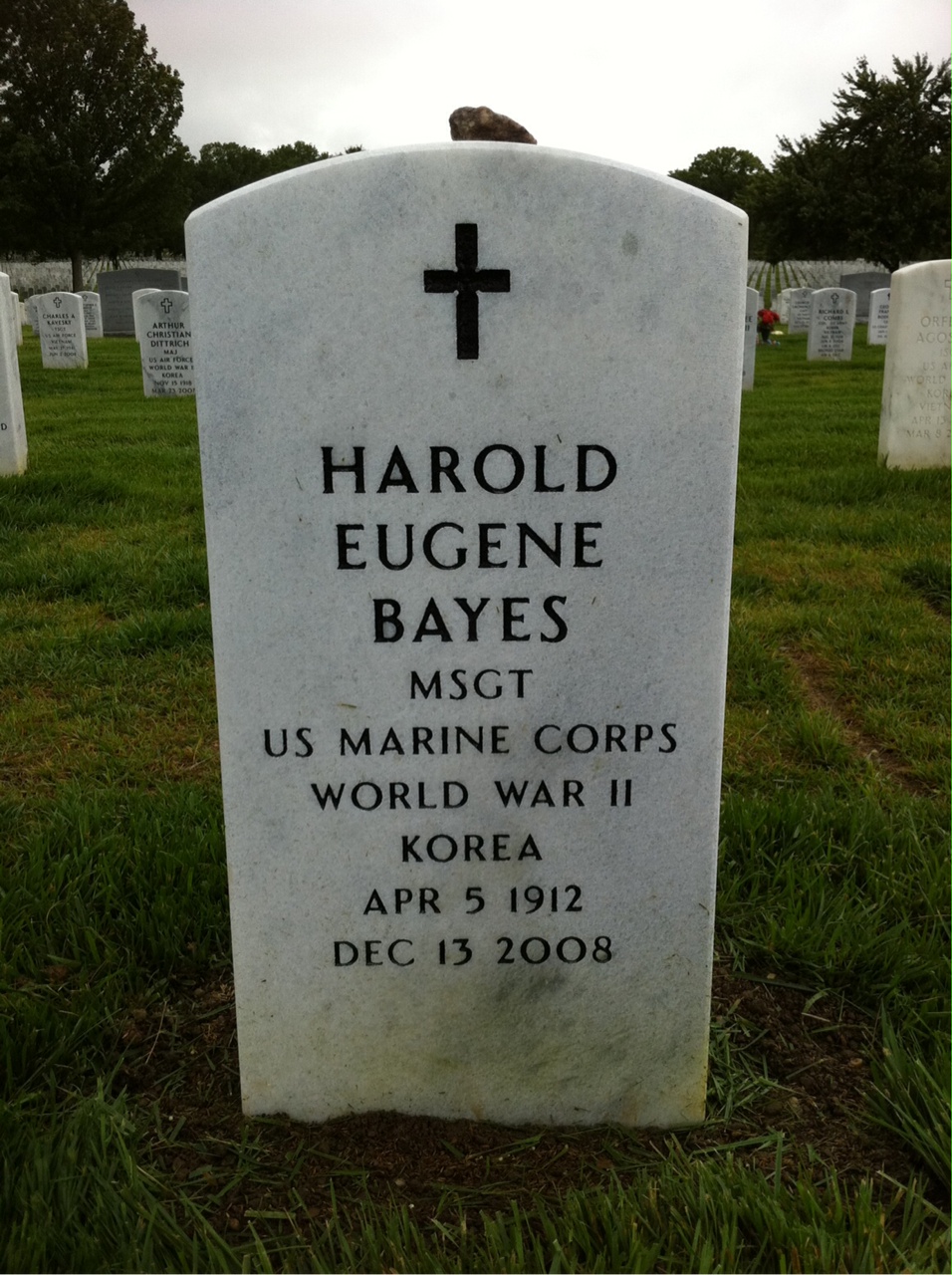 Harold Bayes