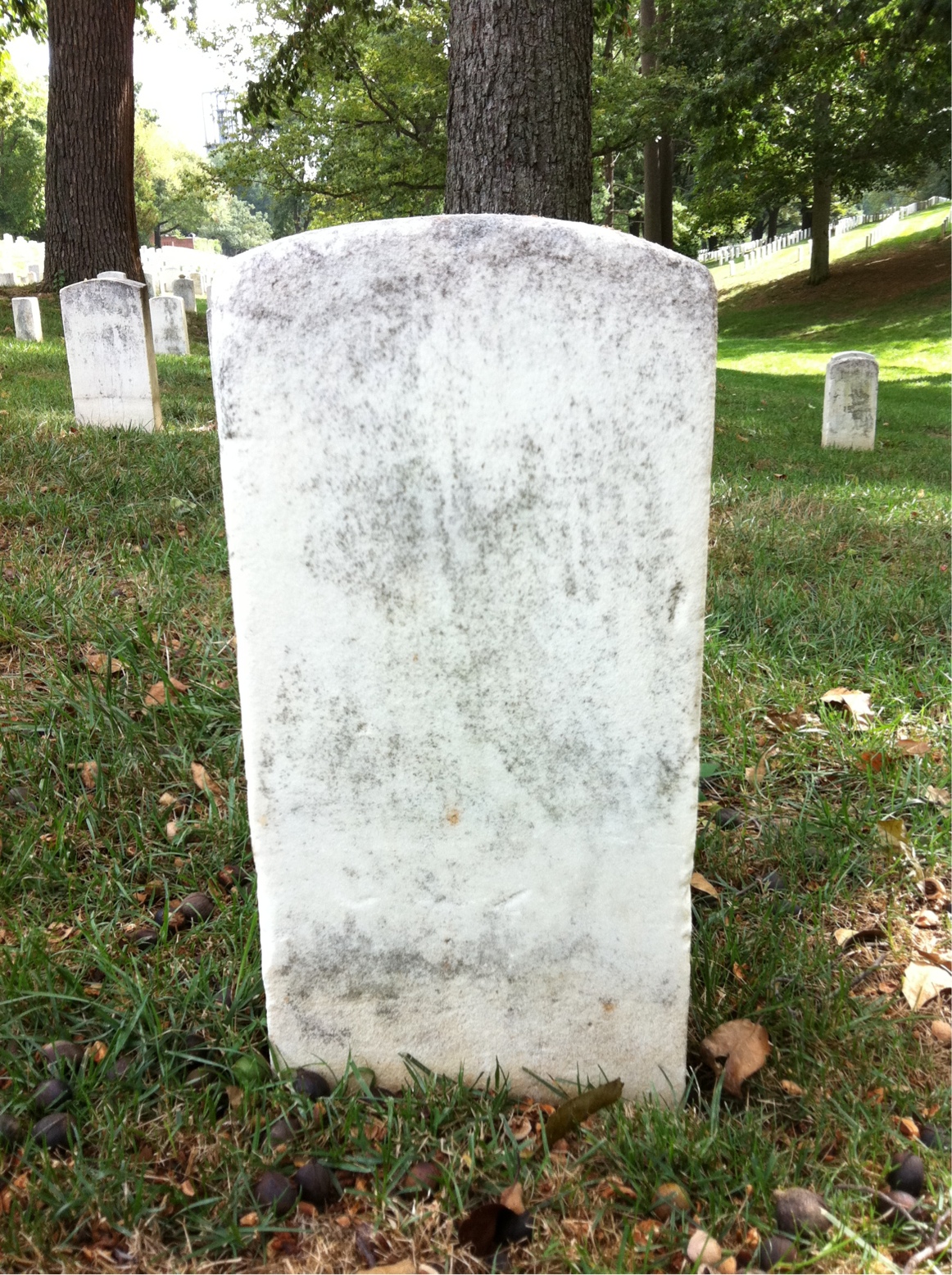 Back of headstone — D Morry