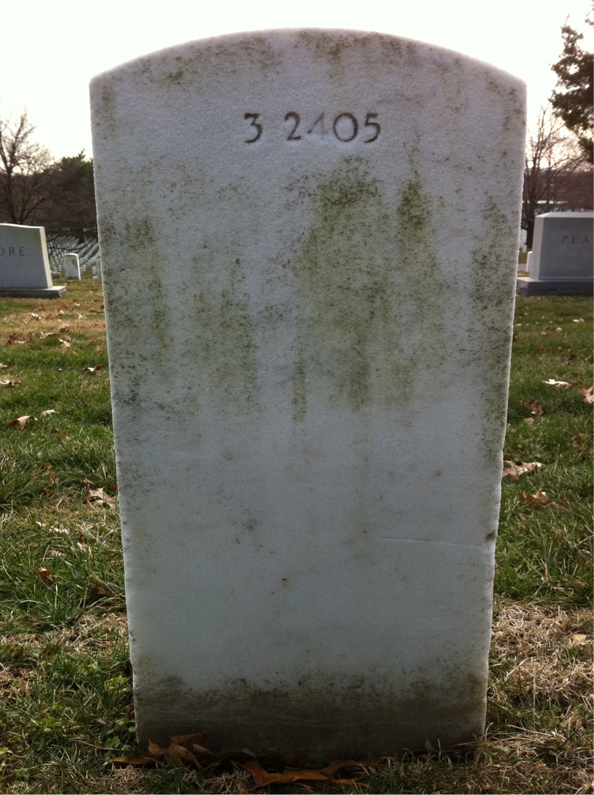 Back of headstone — Anna Moore