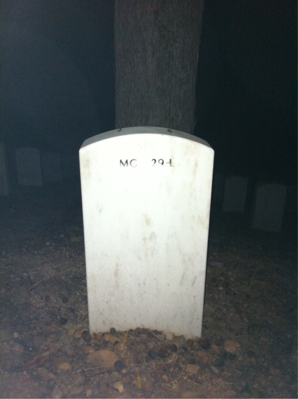 Back of headstone — Roger Steelman