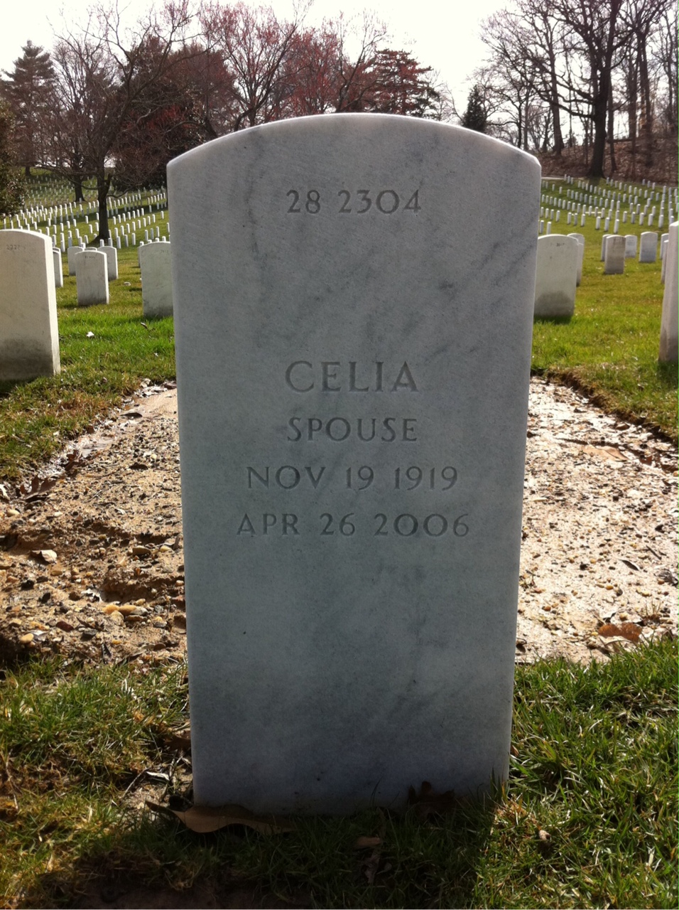 Back of headstone — Willie Martin