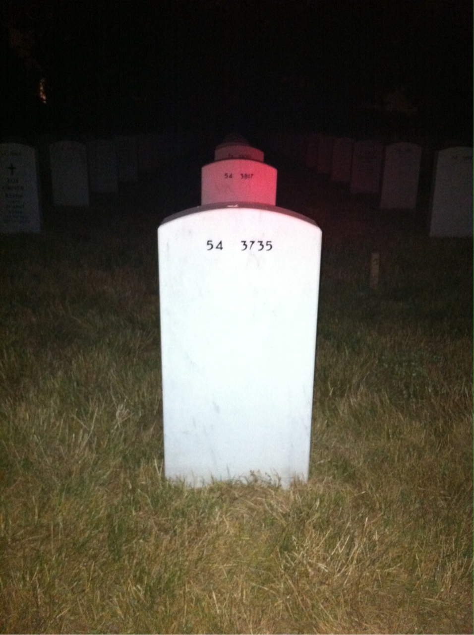 Back of headstone — Francis Picarski