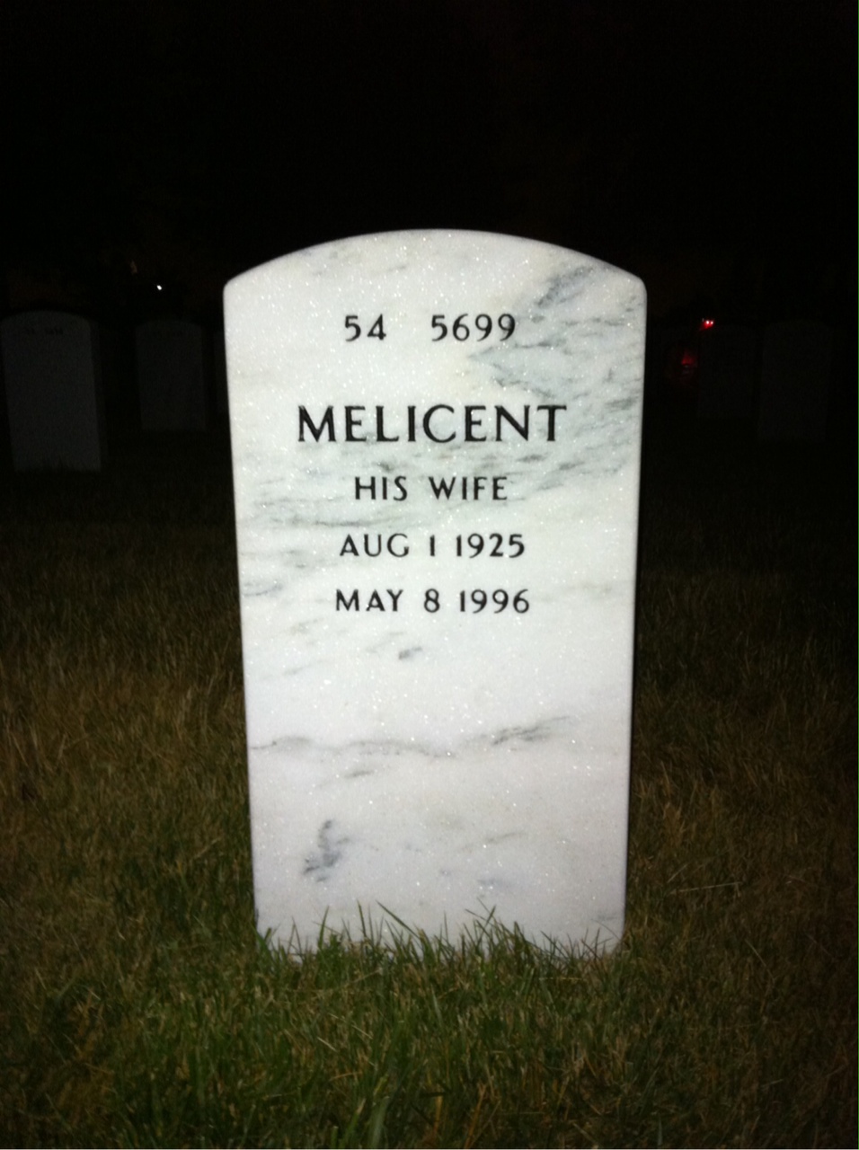 Back of headstone — Harry Slesnick
