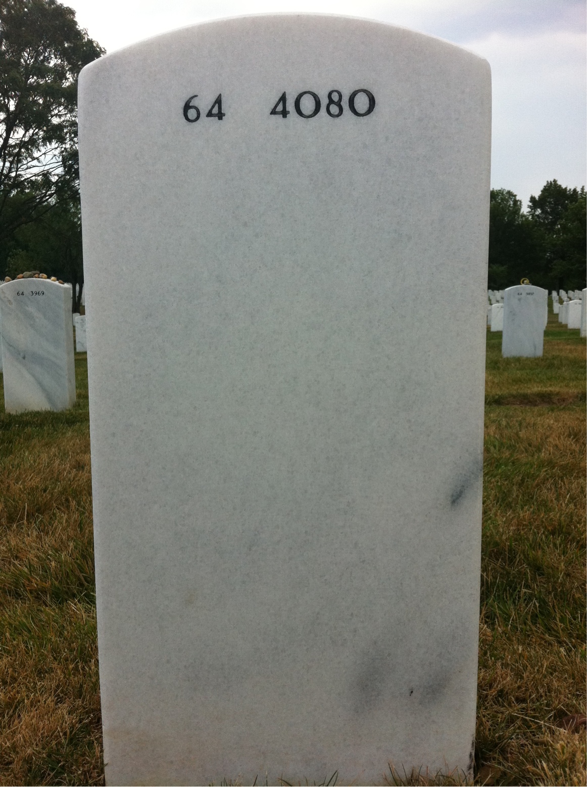 Back of headstone — Anthony Pine