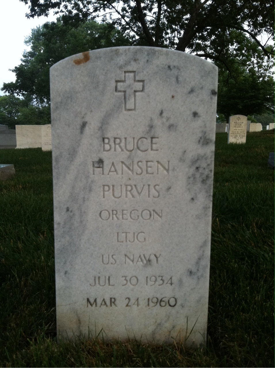 Bruce Hanson Purvis