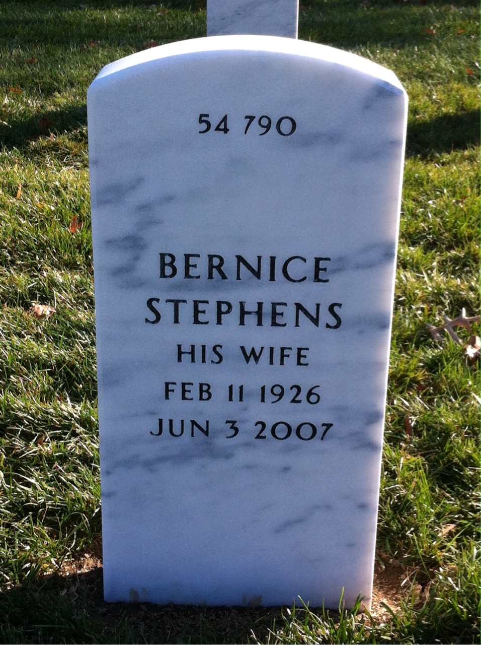 Back of headstone — Davis Ledford