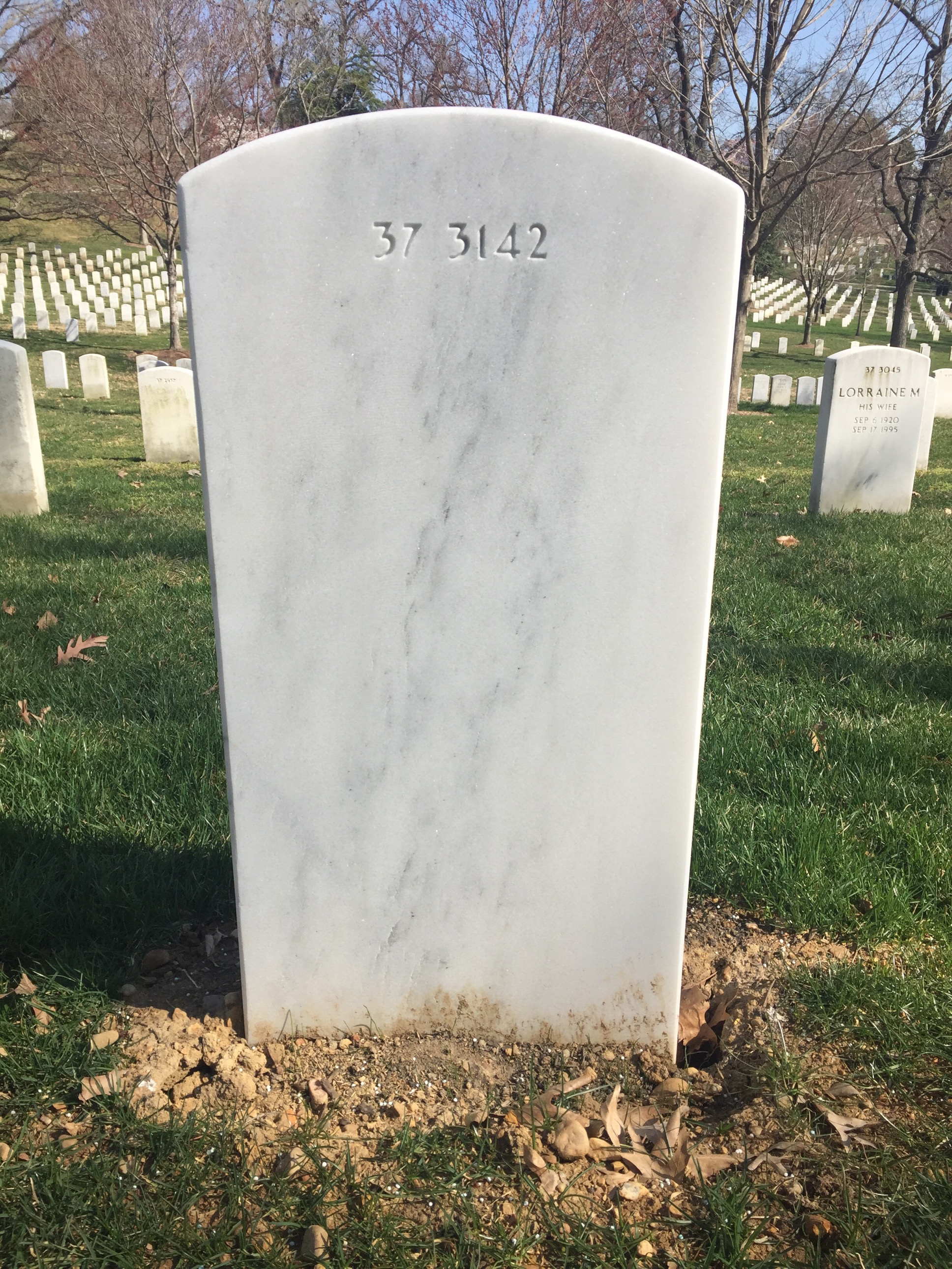 Back of headstone — Thomas N Stiver