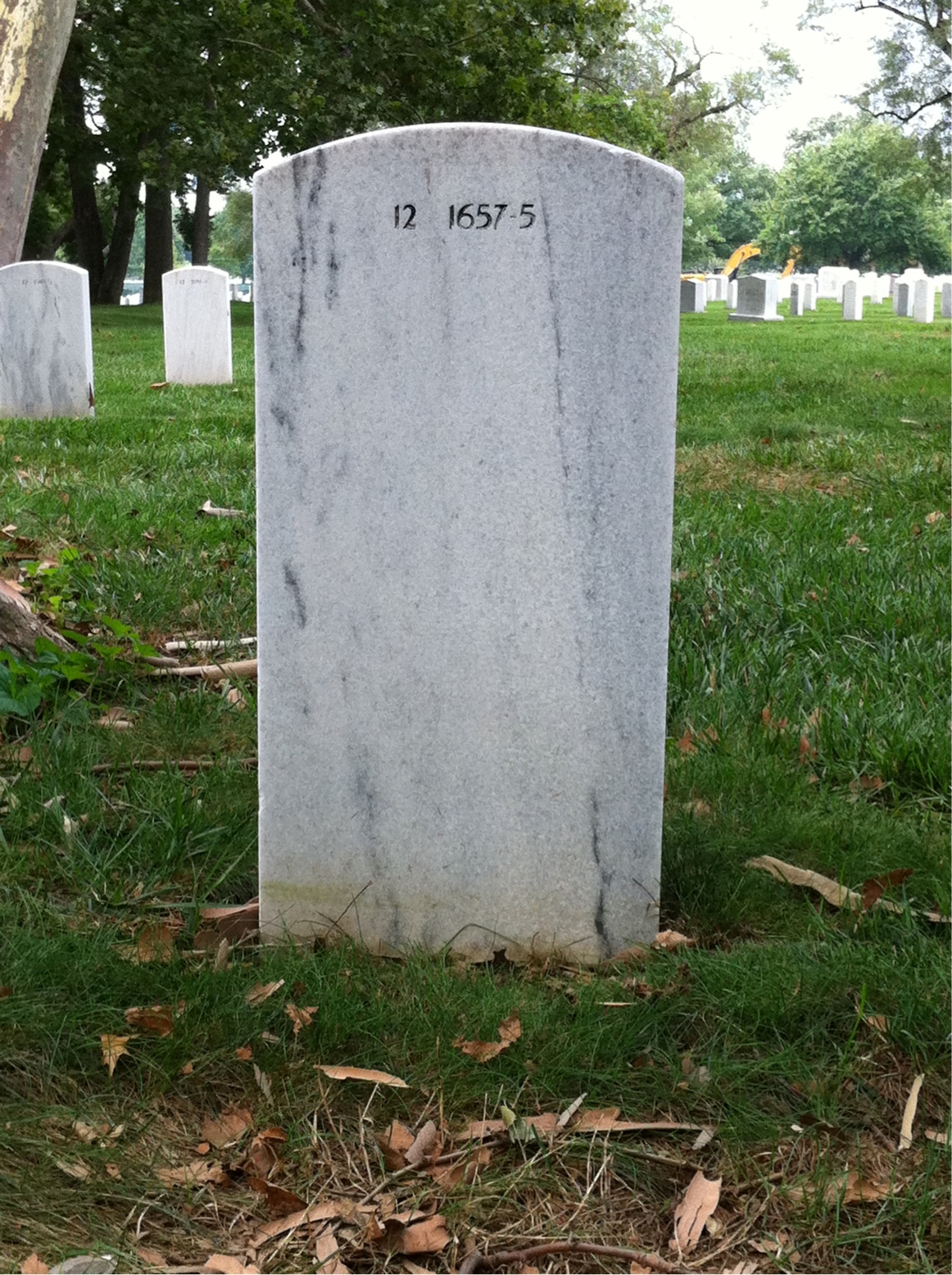 Back of headstone — David Brown