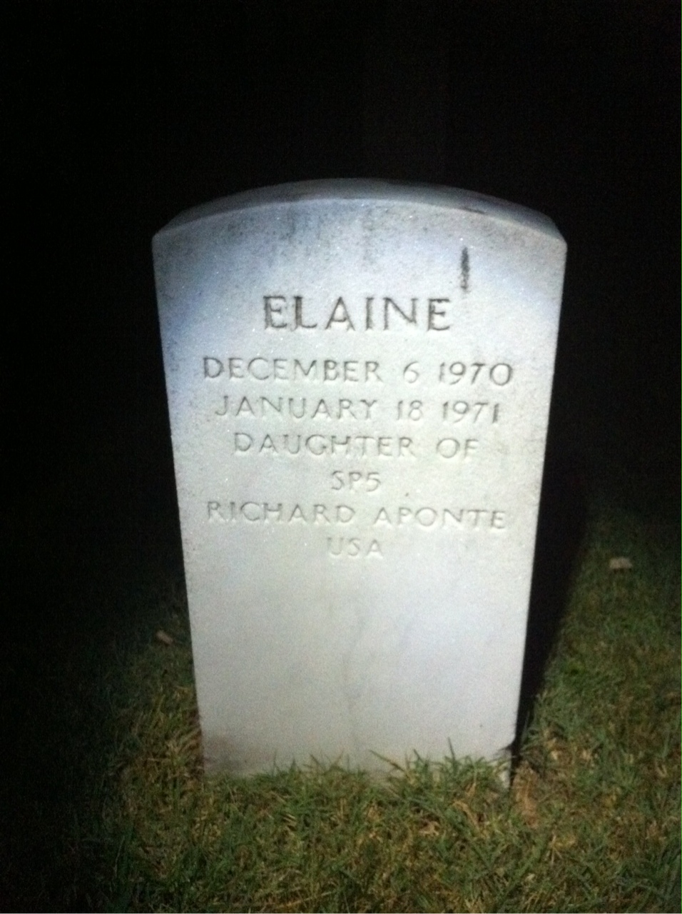 Elaine Aponte