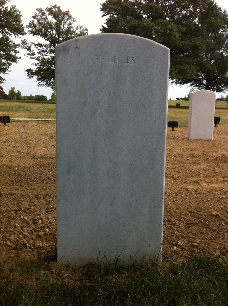 Back of headstone — Dewitt T Francis