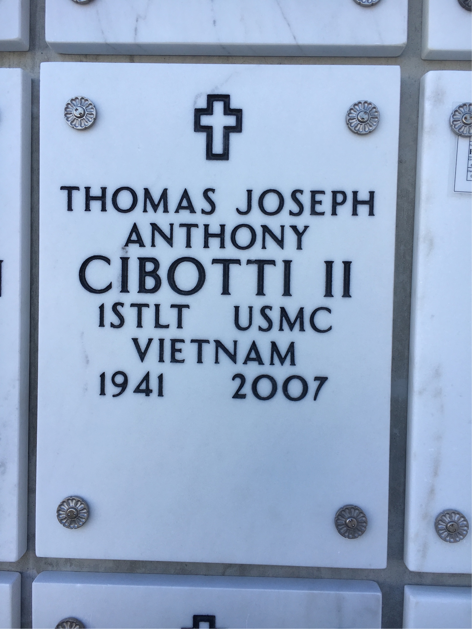 Thomas J Cibotti