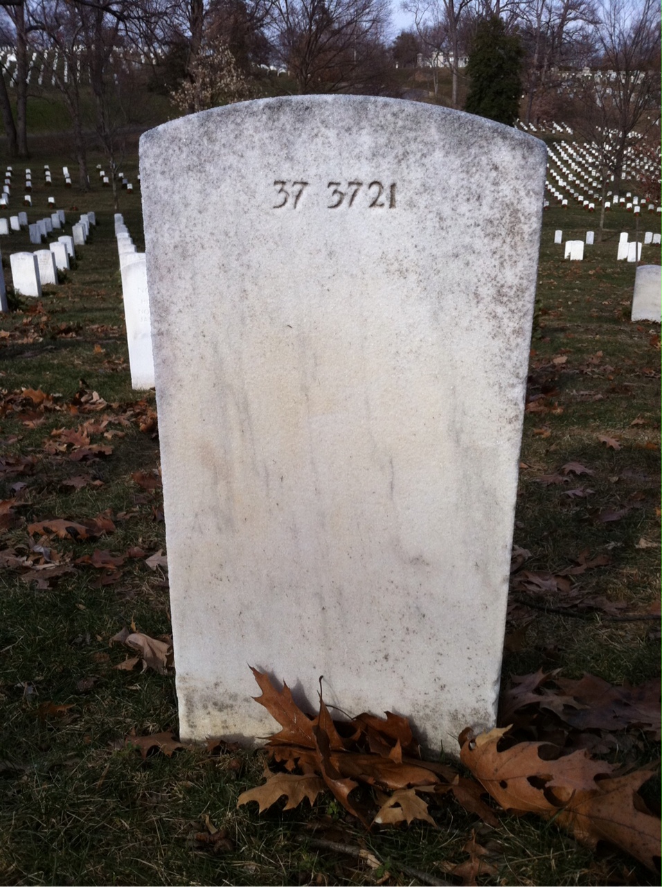 Back of headstone — Vincent Bracha