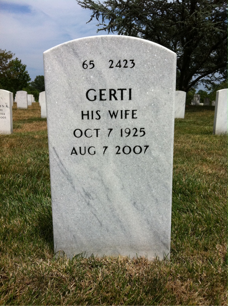 Back of headstone — Louis Gomes
